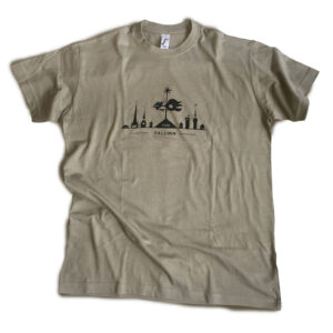 Towers of Tallinn Estonia